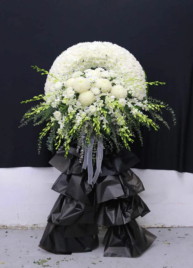 /wp-content/uploads/2025/09/IMG_2675.webp