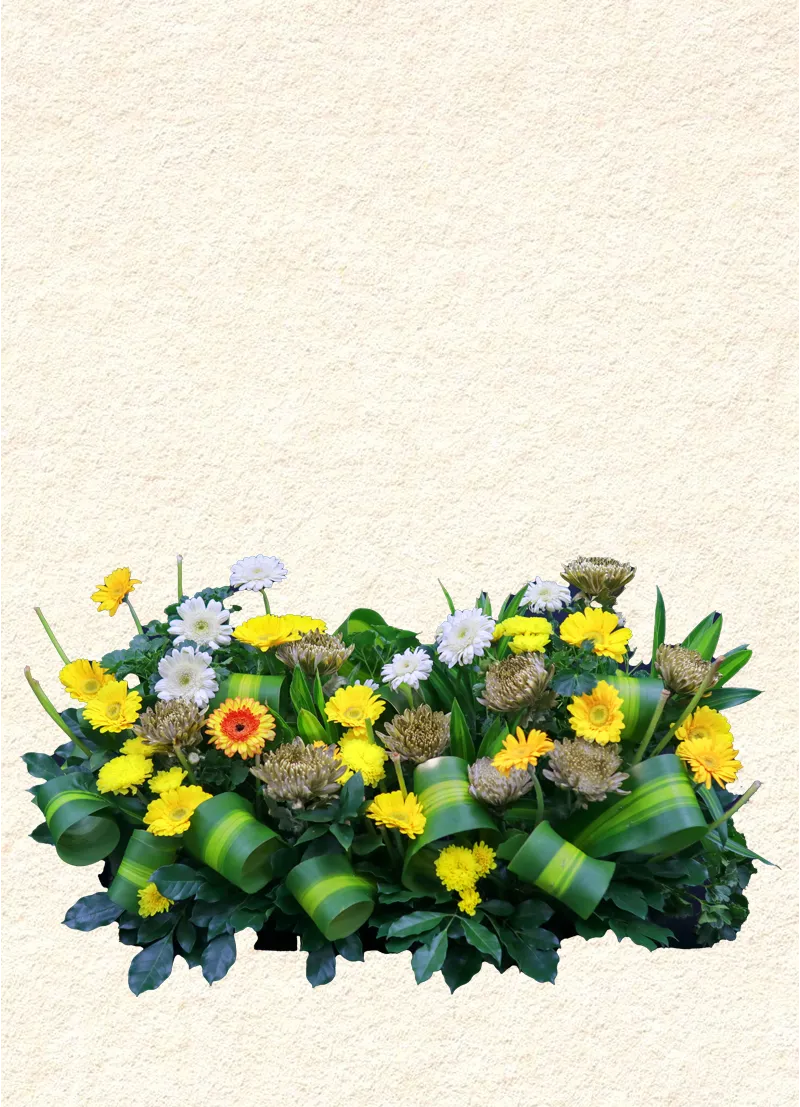 Xinduola - Hoa Tang Lễ