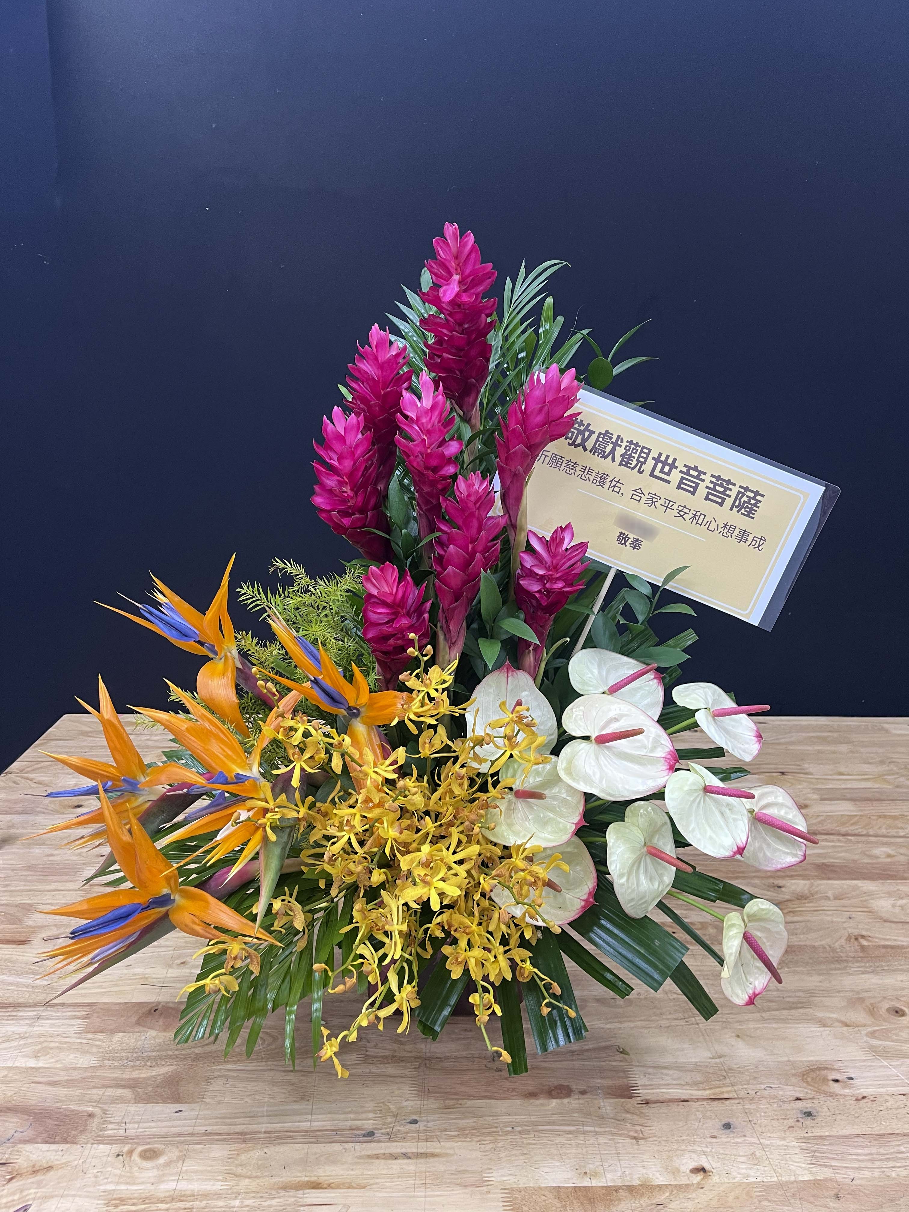 Xinduola - Hoa Tang Lễ